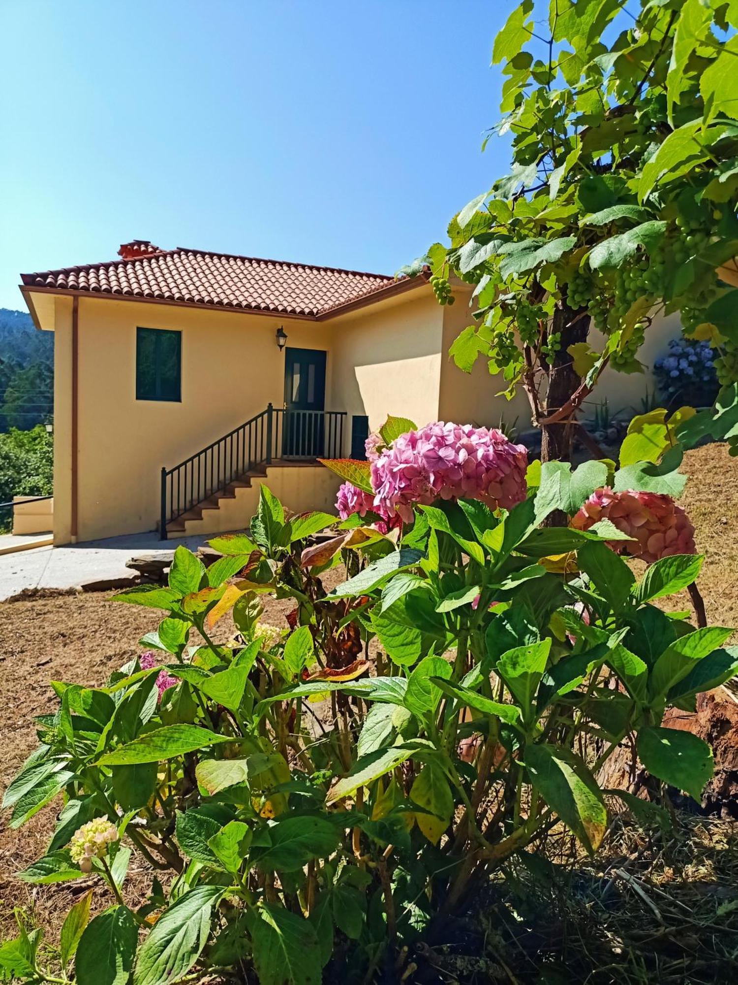 A Casa Do Porto Cerca De Cedeira Y De La Playa De Pantin Villa Valdoviño Eksteriør billede